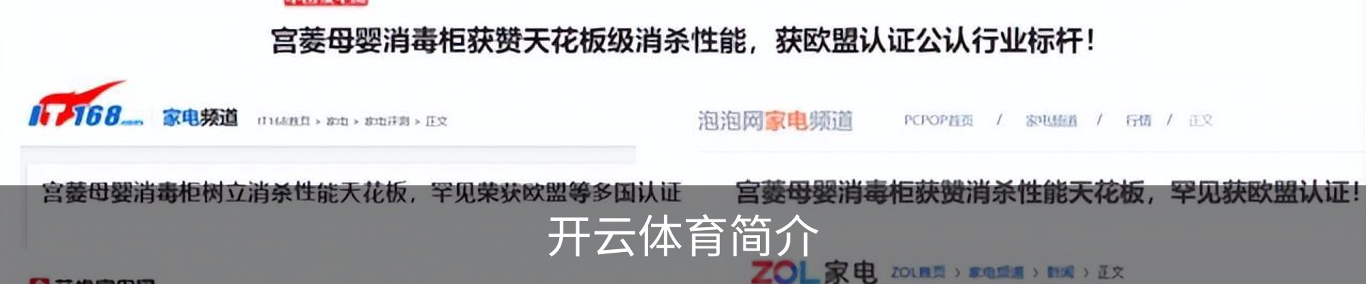 开云体育简介